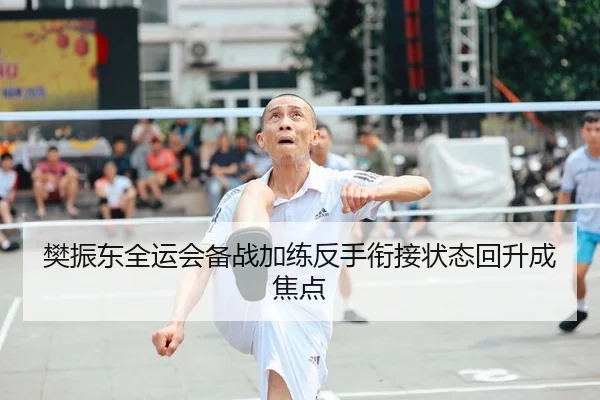 樊振东全运会备战加练反手衔接状态回升成焦点